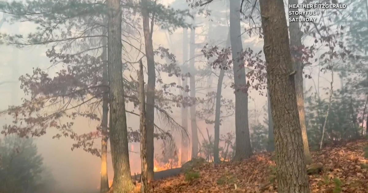 Wildfires erupt on East Coast amid record-setting drought