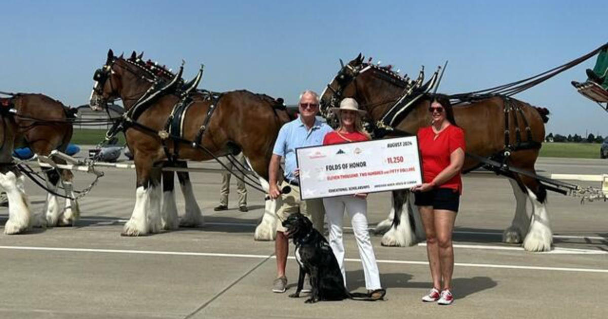 How Clydesdale horses support a non-profit for fallen soldiers, first responders