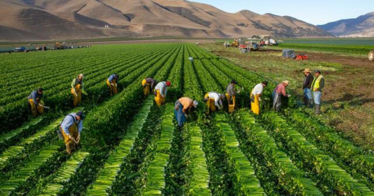 New book from famed photographer focuses on the forces behind the global food chain