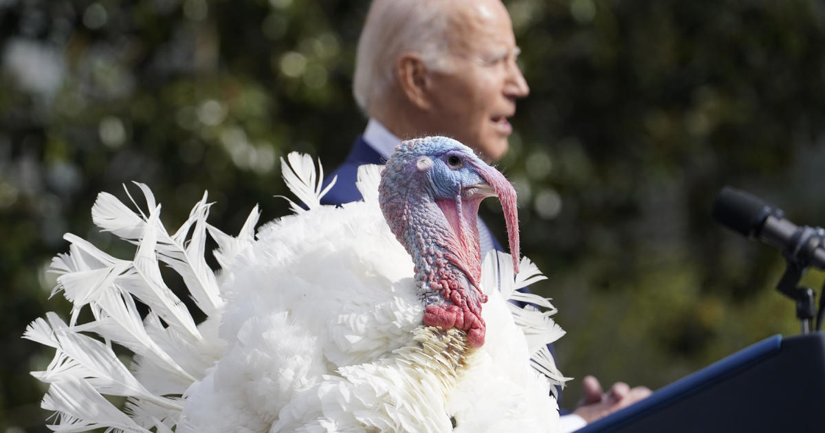 Watch Live: Biden to pardon turkeys “Peach” and “Blossom” in annual White House tradition