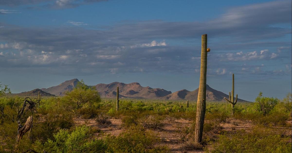 How climate change affects Latino communities and their votes