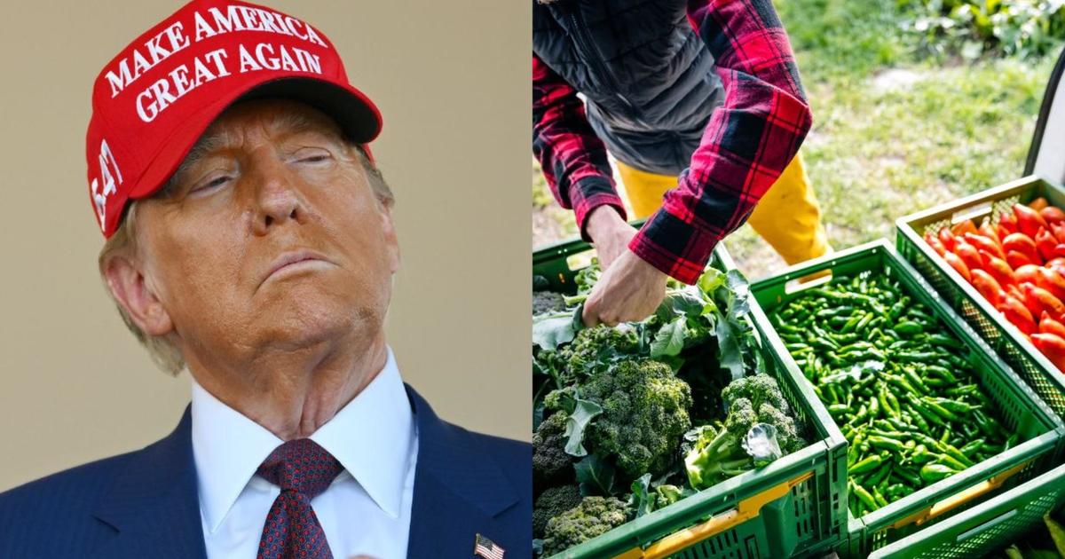 How Trump’s mass deportation plans could affect food, farming industry