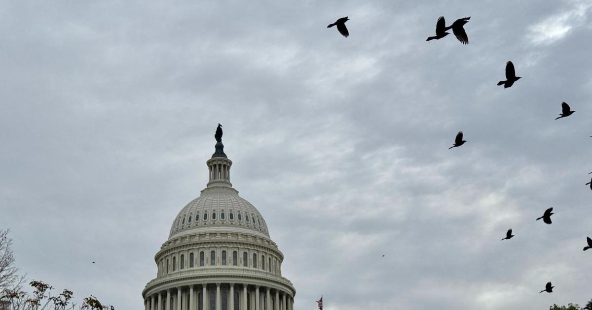 Orientation for new members of Congress begins as government shutdown looms