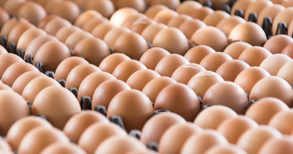 Eggs are getting scarcer and pricier ahead of the holidays. Here’s why.