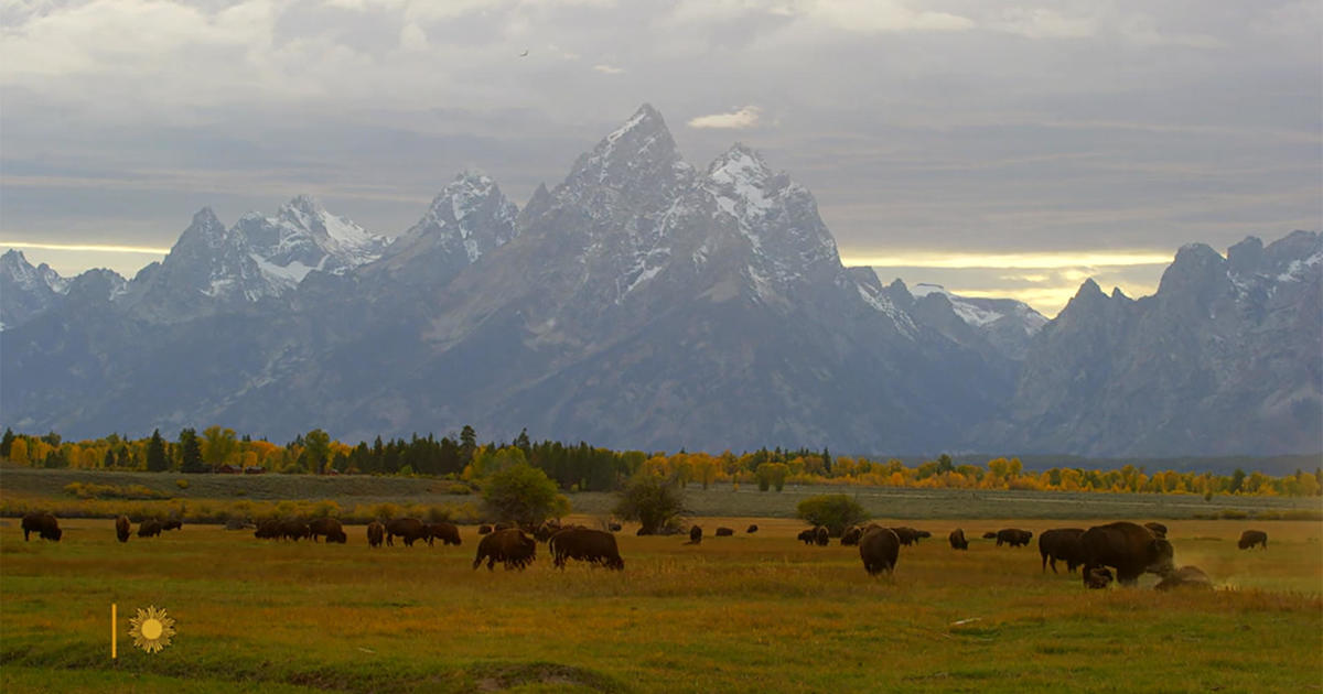 Nature: Grand Teton National Park