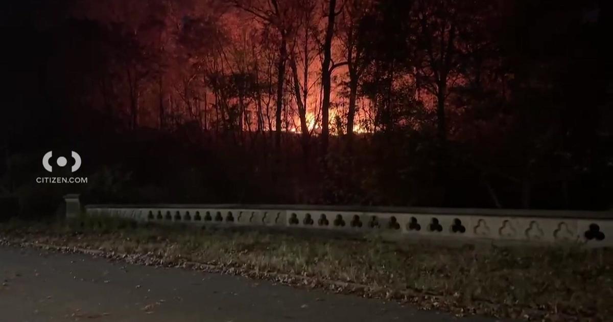 Firefighters battling brush fire in Brooklyn’s Prospect Park