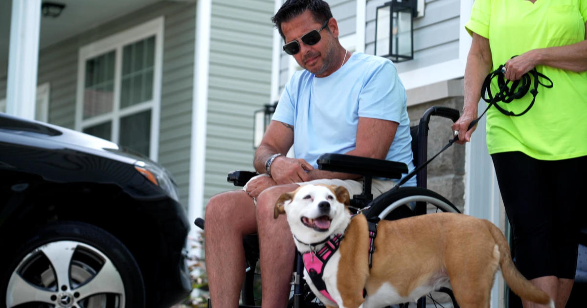 Tiki the dog helps man survive gunshot to the head