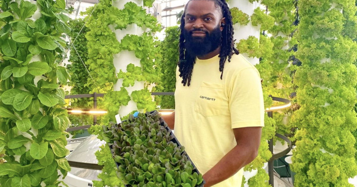 A New Jersey veteran started mushroom farming. He went from “taking lives to just being around life”